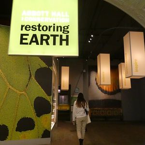 Restoring Earth Gallery - Feb. 2022