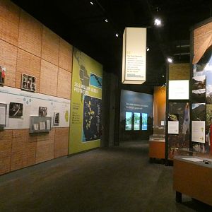 Restoring Earth Gallery - Feb. 2022