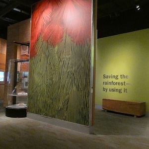 Restoring Earth Gallery - Feb. 2022