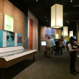 Restoring Earth Gallery - Feb. 2022