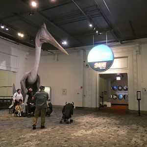 Evolving Planet Entrance - Feb. 2022