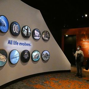 Evolving Planet Entrance - Feb. 2022