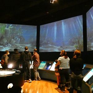 Earth's Earliest True Lifeforms: Underwater Life, Evolving Planet - Feb. 2022