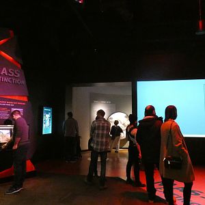 Mass Extinction #3, Evolving Planet - Feb. 2022