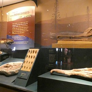 Early Crocodilians, Evolving Planet - Feb. 2022