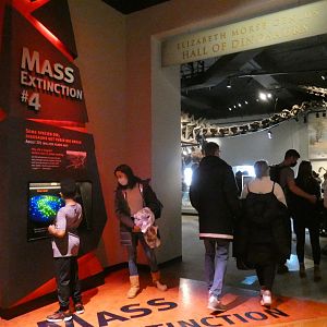 Mass Extinction #4/Entrance to The Hall of Dinosaurs, Evolving Planet - Feb. 2022