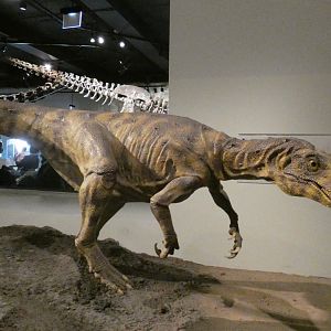 Unidentified Dinosaur Replica, The Hall of Dinosaurs, Evolving Planet - Feb. 2022