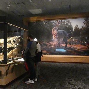 Tyrannosaurus Rex Display, Evolving Planet - Feb. 2022