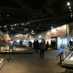 Hall of Dinosaurs, Evolving Planet - Feb. 2022