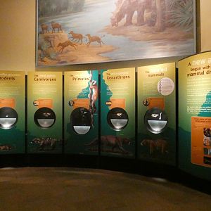 'A New Age', Evolving Planet - Feb. 2022