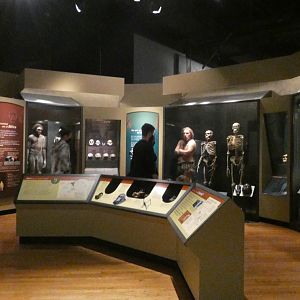 The Evolution of Humans, Evolving Planet - Feb. 2022