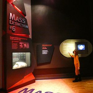 Mass Extinction #6, Our Future, Evolving Planet - Feb. 2022