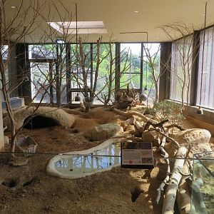 Africa house - Meerkat & lovebird enclosure