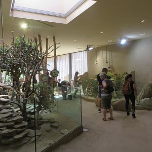 Africa house - general view