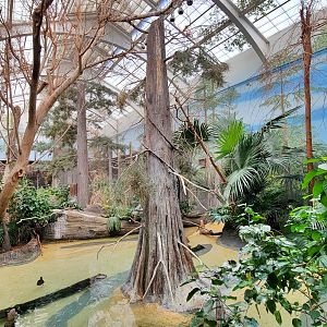 Feb. 2022 - The Swamp - Spoonbill + Others Exhibit