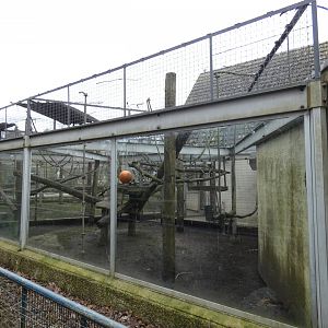 Lemur enclosure on small monkey house
