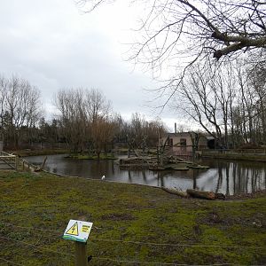 Primate islands in lake