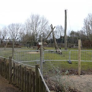 Former Columbian black spider monkey enclosure