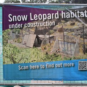 Future Snow Leopard Enclosure