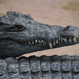 Nile crocodile