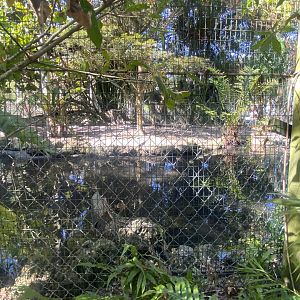 Large Walk-Through Aviary