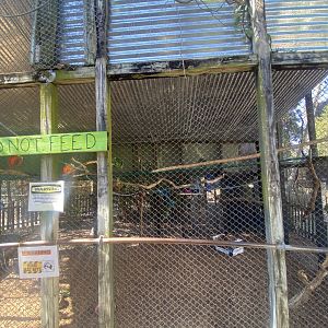 Smaller Macaw Aviary