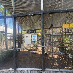 “Craven” Exhibit