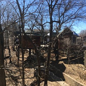 Raptor Woodland Refuge from Outside