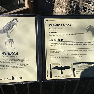 Example Signage - Raptor Woodland Refuge