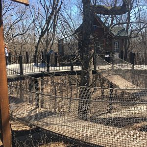 Raptor Woodland Refuge Rope Bridges