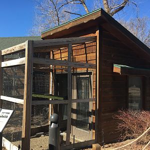 Peregrine Falcon Exhibit - Example raptor house