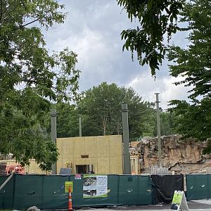 Gorilla Grove 15/6/21