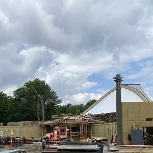 Gorilla Grove 15/6/21