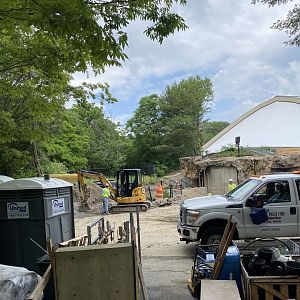 Gorilla Grove 15/6/21