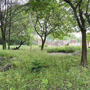Gorilla Grove construction thru Hyena Exhibit 15/6/22