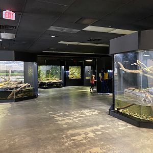 Overall Area, one large room, some side rooms. This is the Main Hall