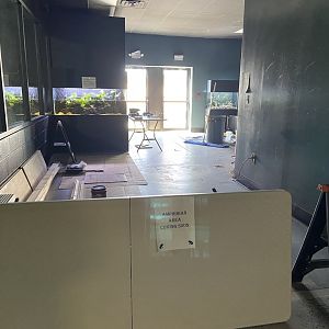 Future Amphibian Area