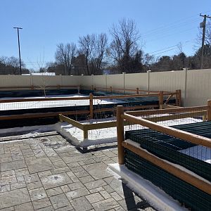 Outdoor Area and Ponds