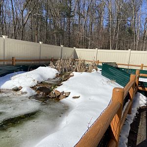 Outdoor Area and Ponds