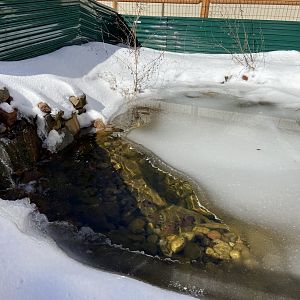 Outdoor Area and Ponds