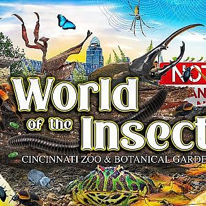 World of the Insect & Passenger Pigeon Memorial | Zoo Tours
