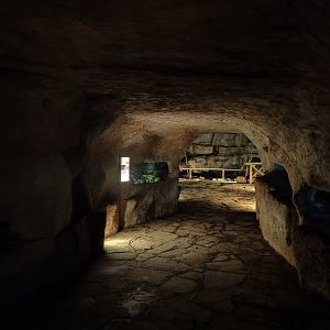 Cave interior in fruit bat forest