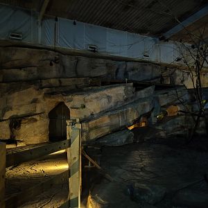 Cave exterior in fruit bat forest