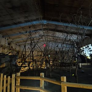 View of fruit bat forest