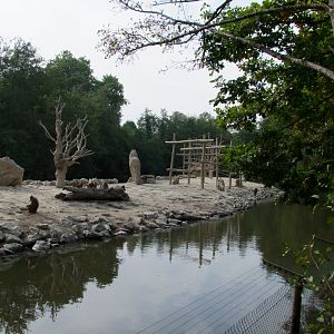 Island for Papio papio