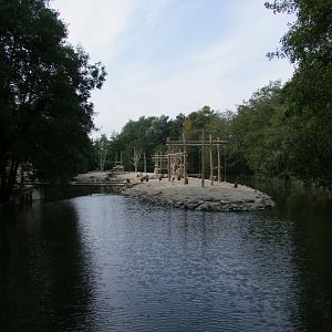 Island for Papio papio