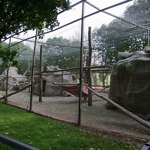 EncMacaca sylvanuslosure