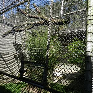 Example of backstage aviary for lear's macaw - Belo Horizonte zoo