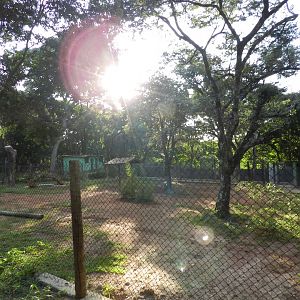 New developments on the bird square - Belo Horizonte zoo