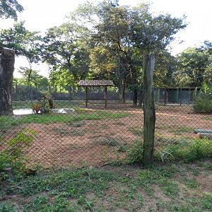 New developments on the bird square - Belo Horizonte zoo
